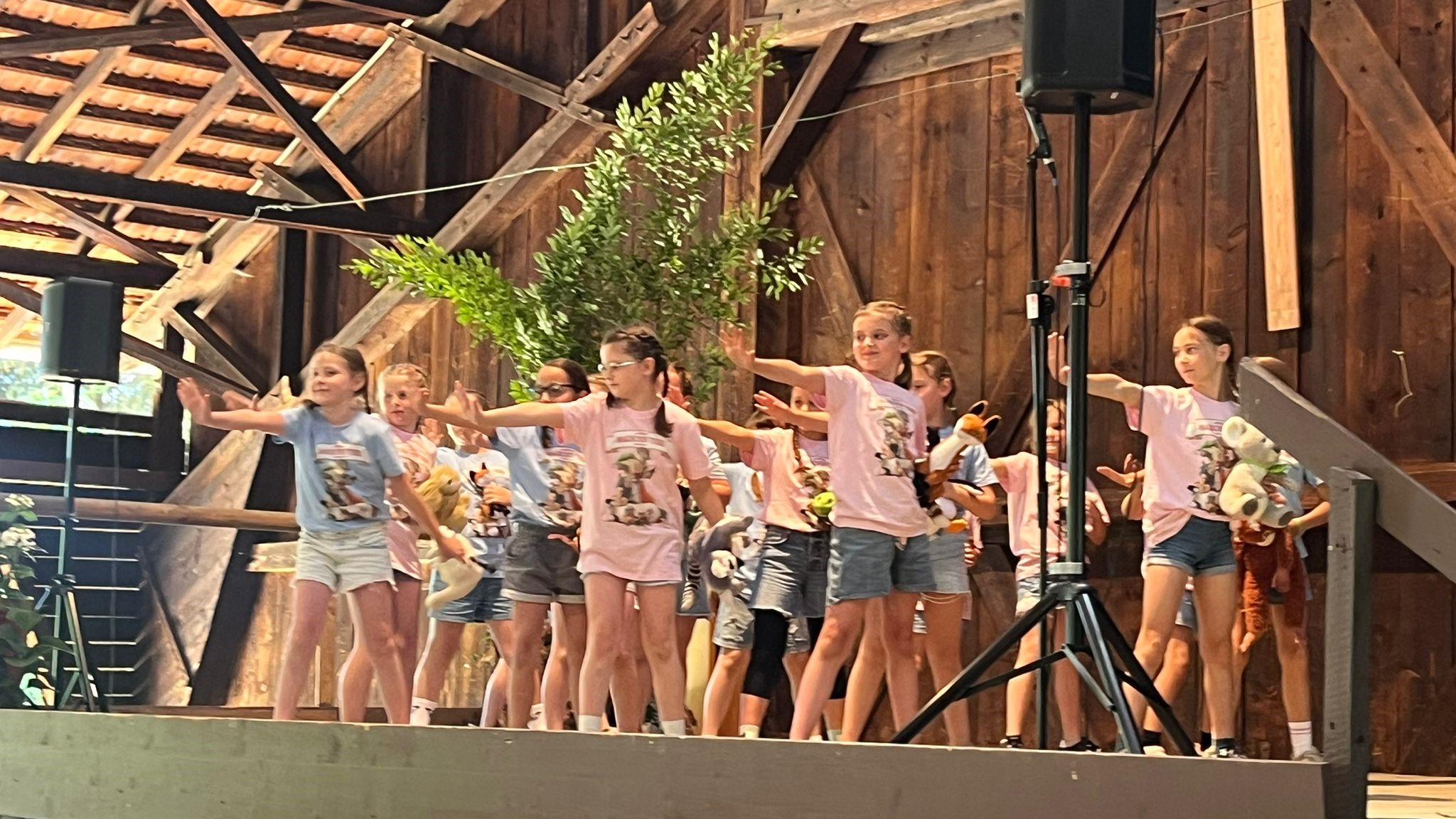 Bild1